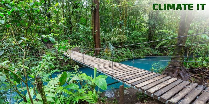 Digitaliseringen i Amazonas: Hvordan kan vi bruge regnskoven uden at ødelægge den?