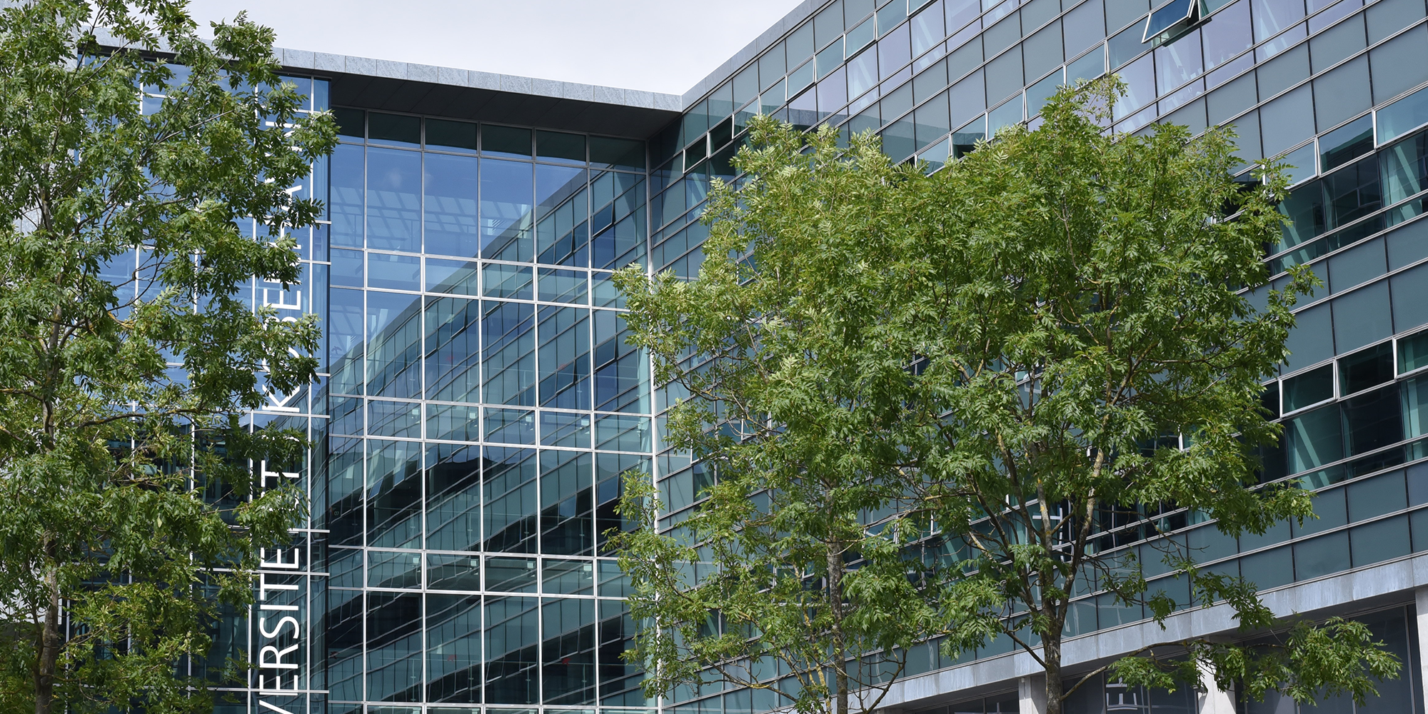 Billede af bygning med grønne træer